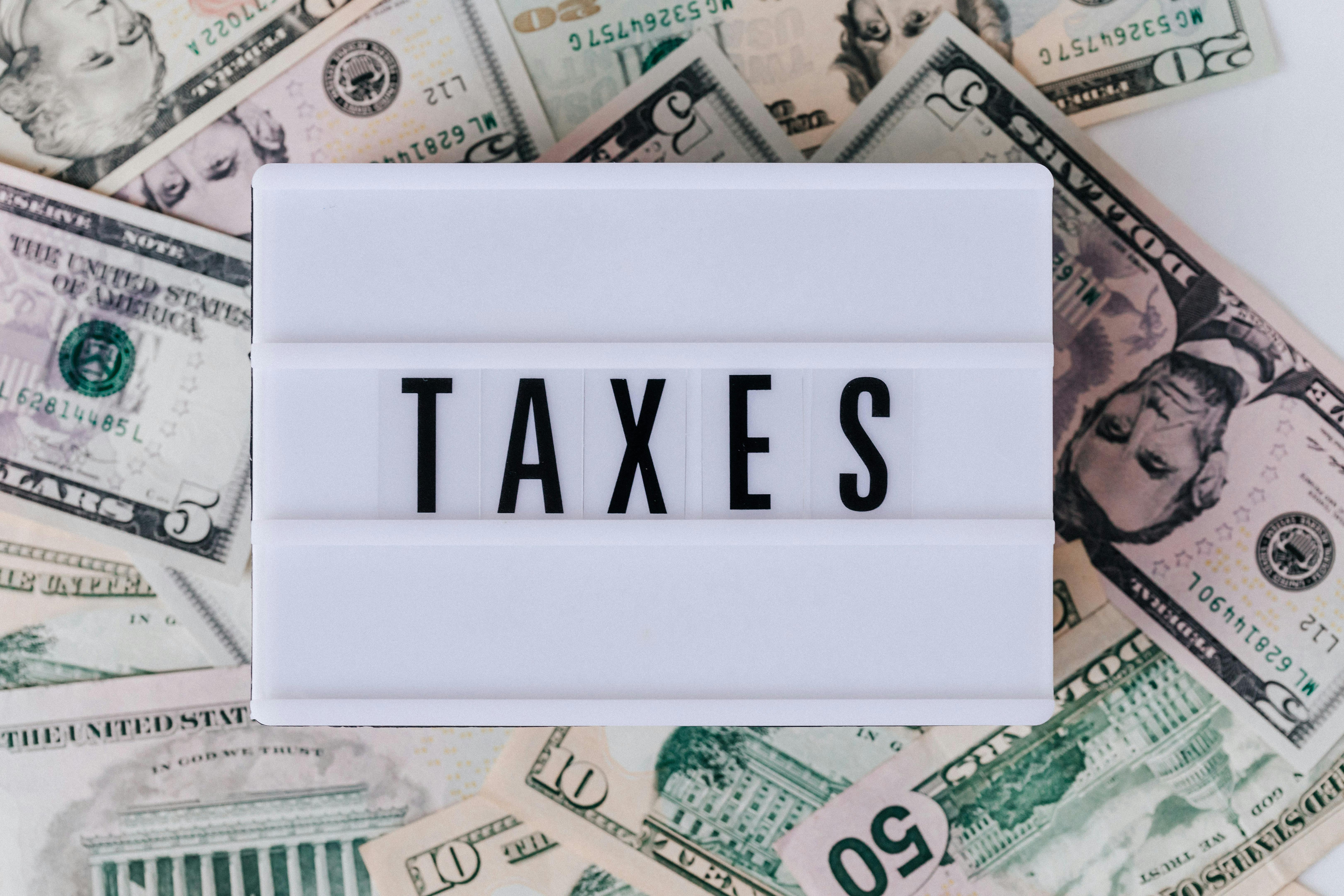 Taxes for Beginners: Everything You Need to Know